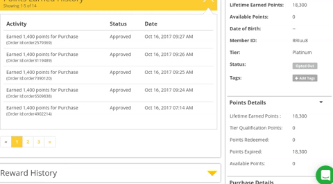 Using Tagging to Segment Customers in a Loyalty Program | Loyalty Program Key Tags