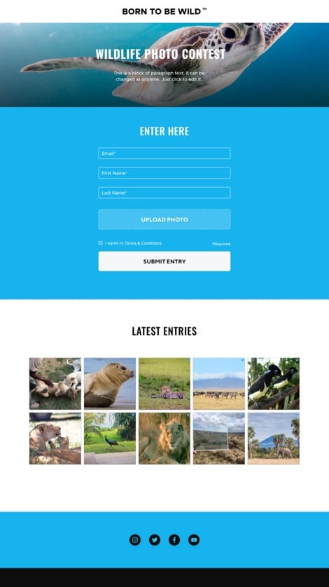 Social Contests Engagement |