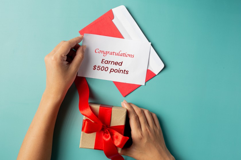 Loyalty Incentives Programs – Steering Success |