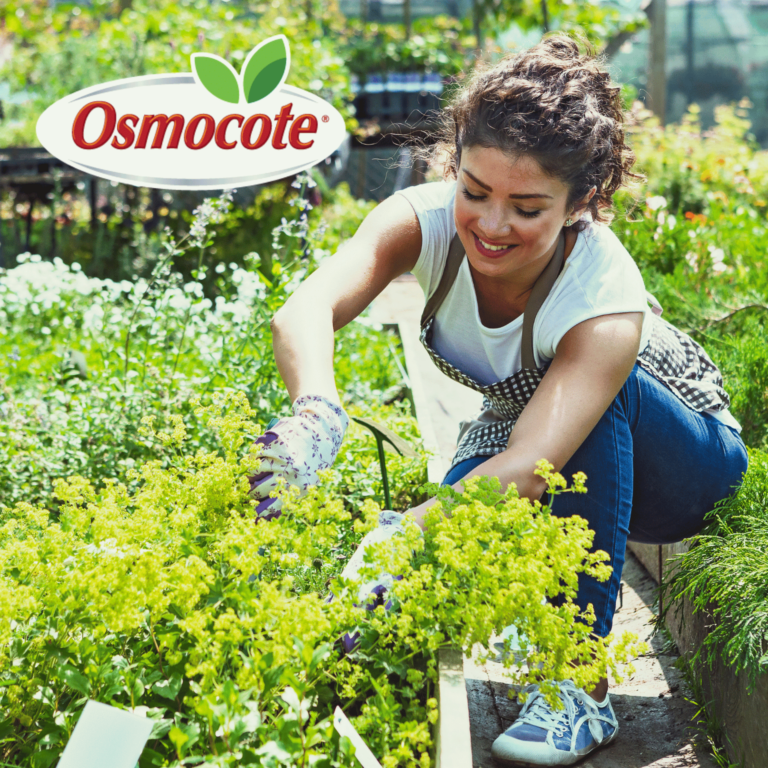 Woman gardening with trowel. Osmocote logo