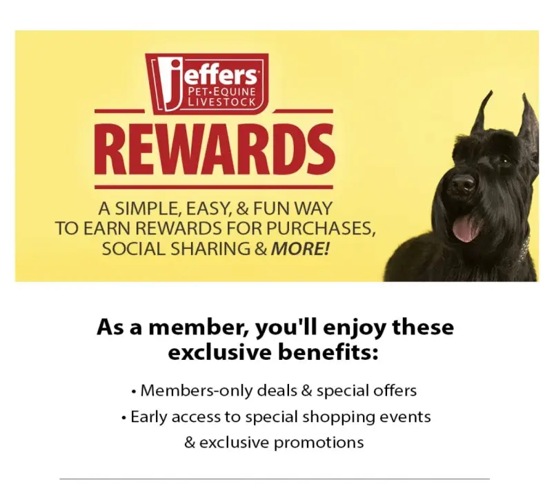 7 Best Pet Store Loyalty Loyalty Programs Purrfect for Customer Retention |