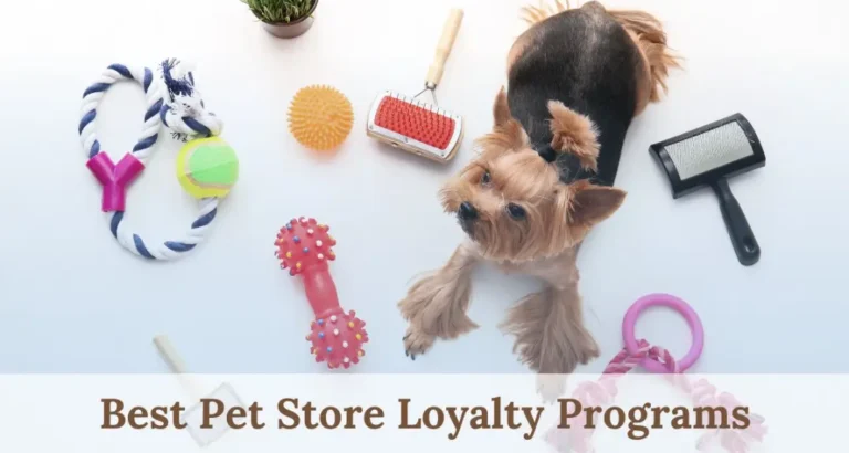 Best-Pet-Store-Loyalty-Programs