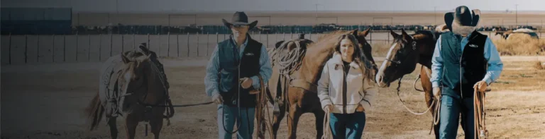 Coolhorse-case-study-