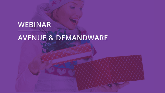 webinar-with-avenue-and-demandware