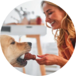Pet Supplies |