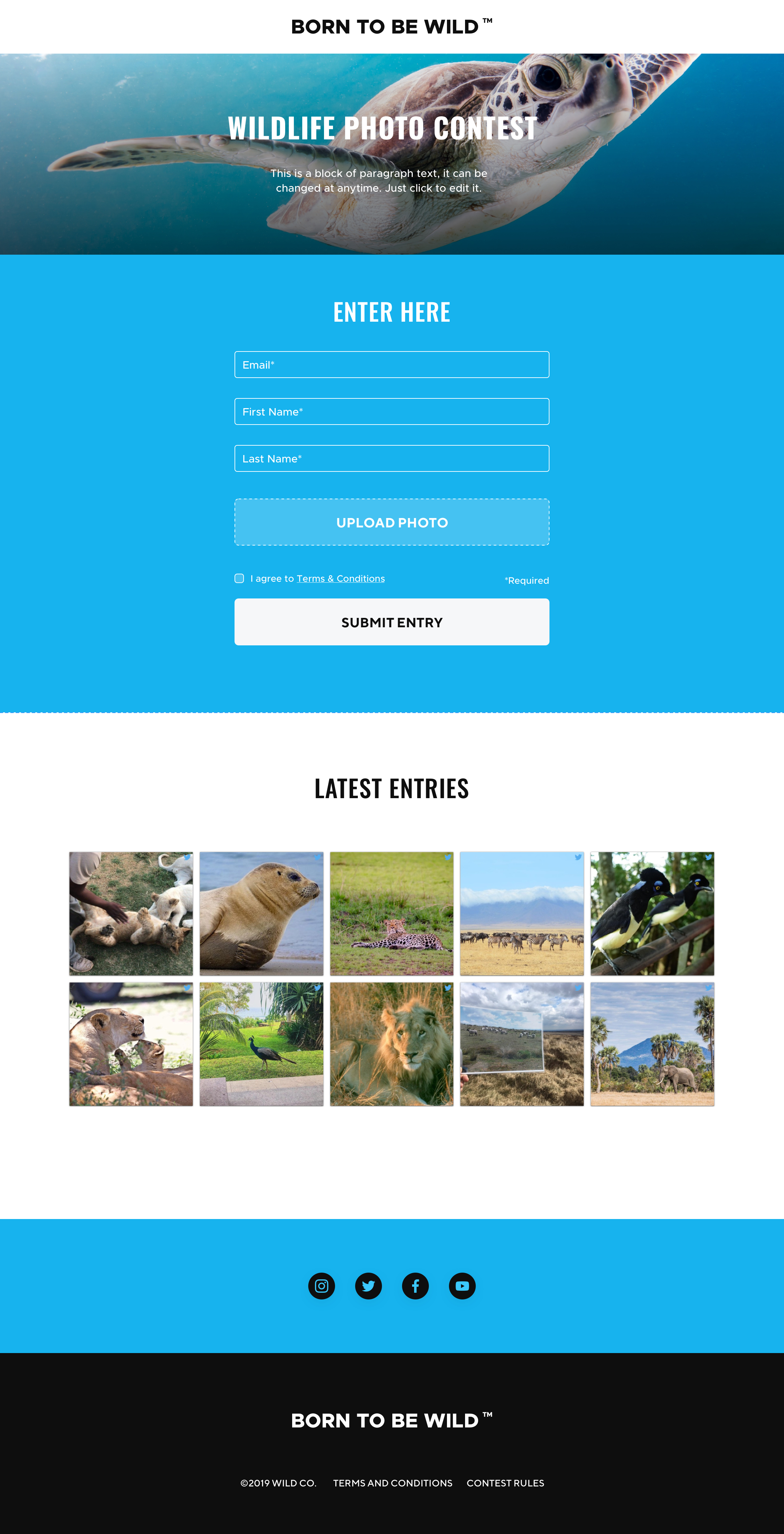 Introducing TrueLoyal Experience Builder |