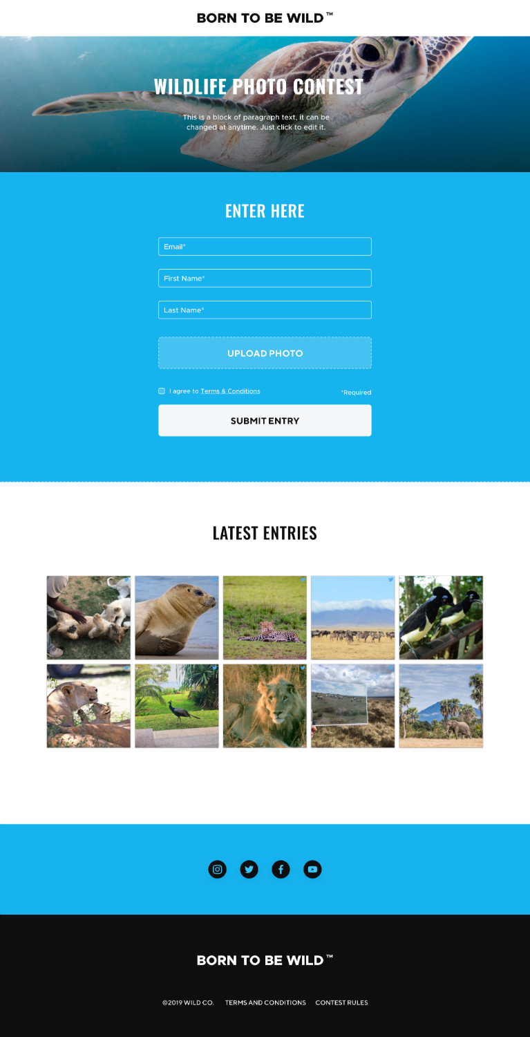TrueLoyal Experience Builder contest