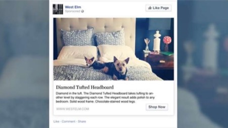 How and Why You Should Leverage UGC in Your Facebook Ad Campaigns |