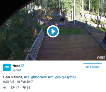 The Best Social Media Marketing Campaigns of 2016 |