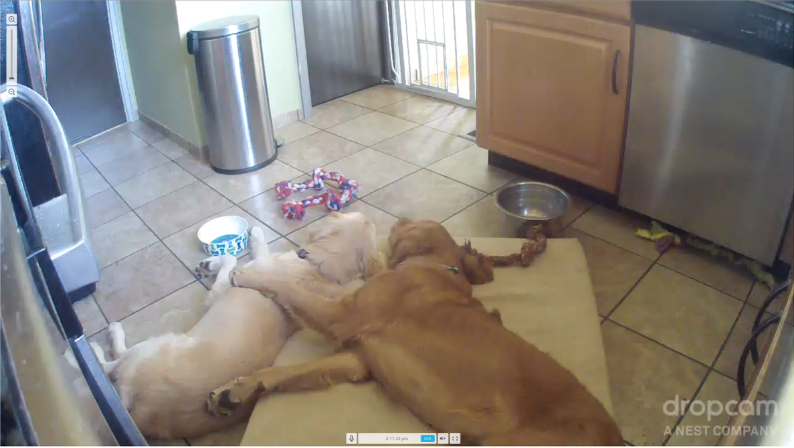 8 Inspiring Instagram Marketing Campaigns And How To Replicate Them |