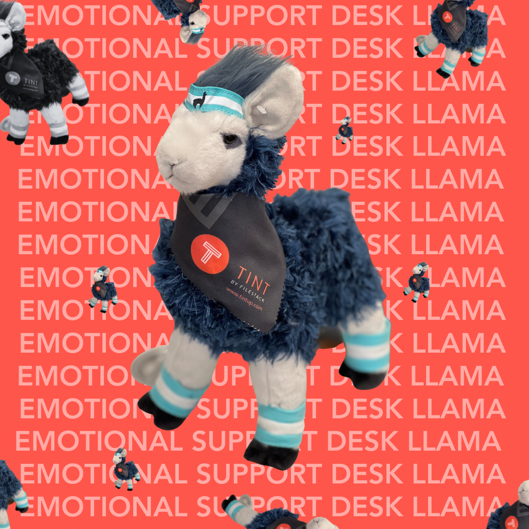 TrueLoyal Desk Llama wearing bandana