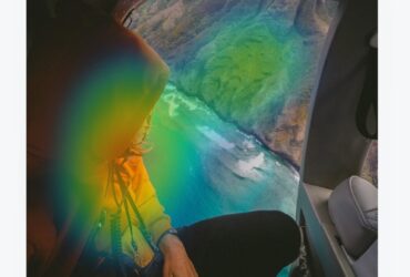 TrueLoyal Attention Score Heat Map on Content