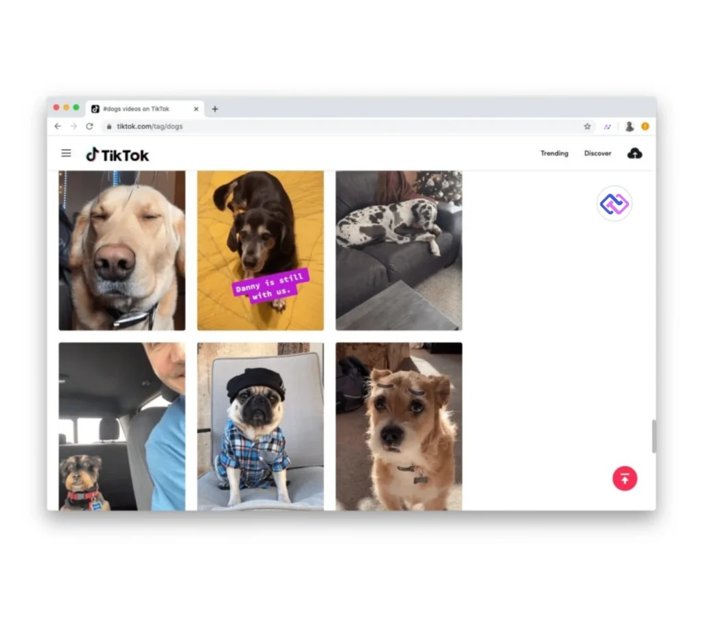 Tiktok + TrueLoyal