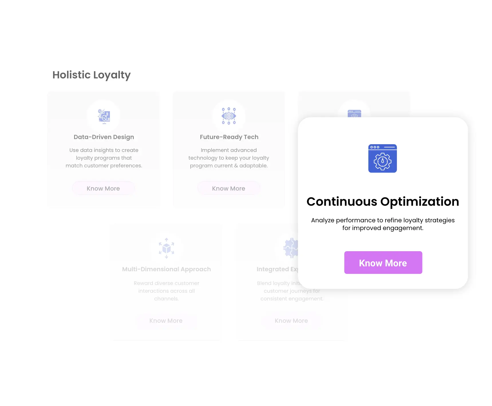 Holistic Loyalty - Continuous Optimization