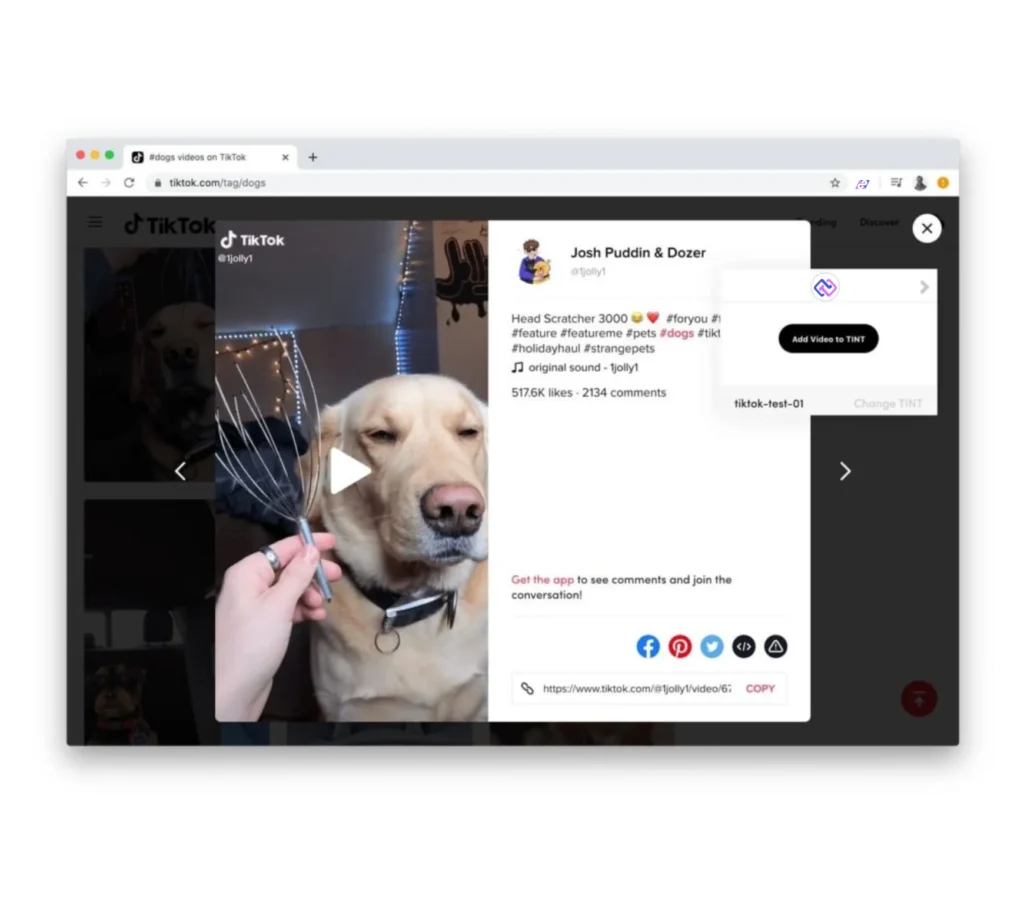 TikTok |