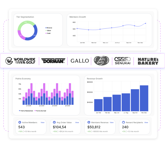 Loyalty Program Software Medium Large Businesses |